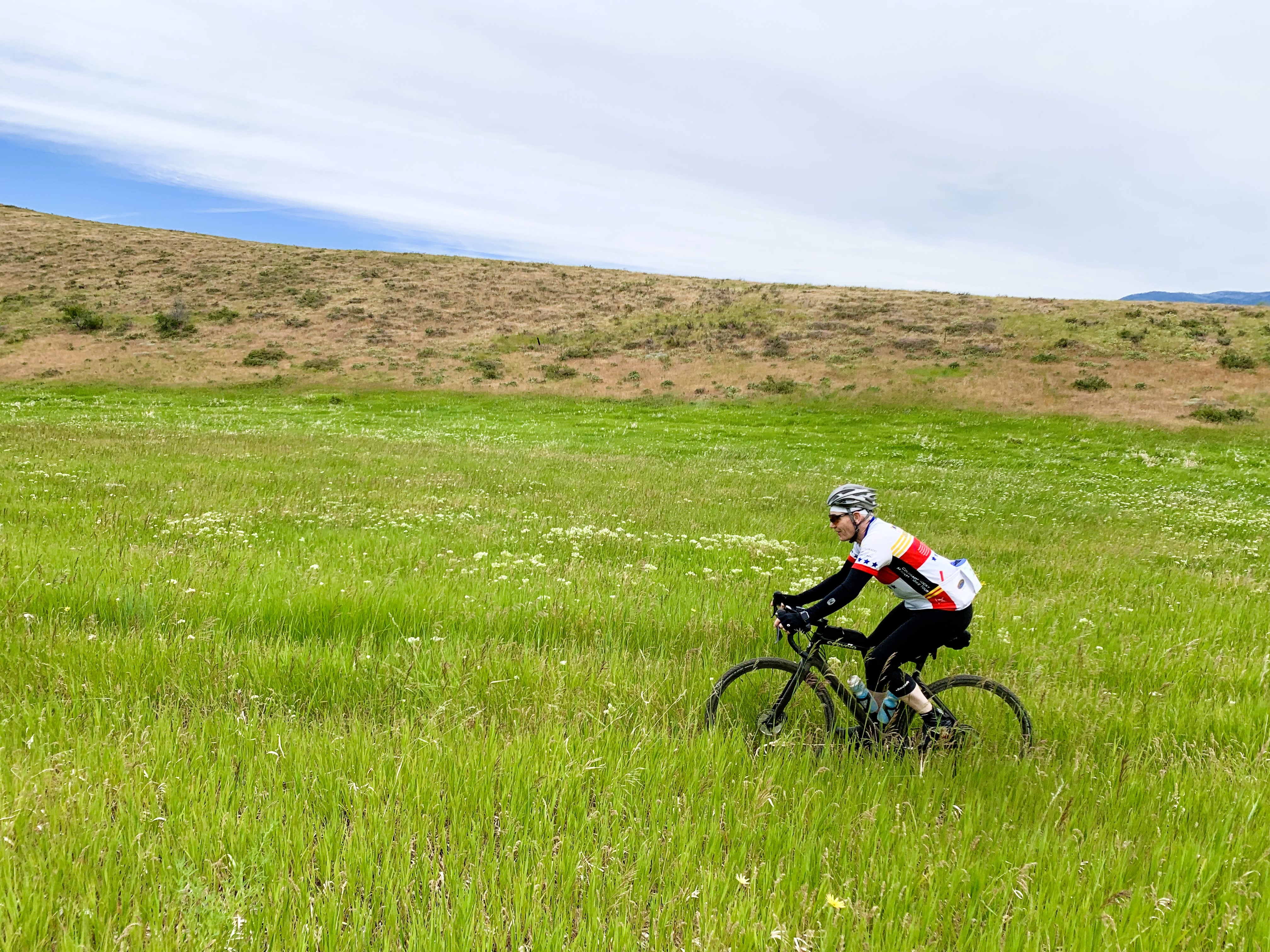 Cyclist in the tall grass